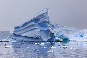 Blue icebergs in snowy weather, from sea level, Waterboat Point, Paradise Bay, Graham Land, Antarctic Peninsula, Antarctica, Polar Regions