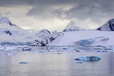 Spectacular mountains, glaciers and blue icebergs of Paradise Bay, water ripples, Graham Land, Antarctic Peninsula, Antarctica, Polar Regions