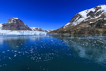 Thryms (Thrym) Glacier, large, retreating, tidewater glacier, Skjoldungen Fjord, glorious weather, remote South East Greenland, Denmark, Polar Regions