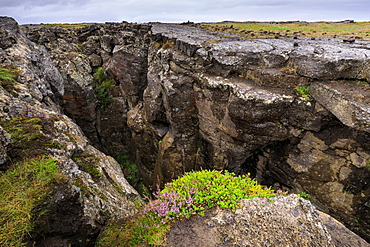 Grjotagja cave near Lake Myvatn in Iceland, Europe