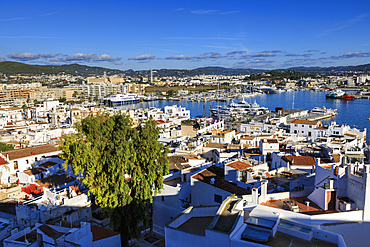 Historic whitewashed old town and harbour, from Dalt Vila, Ibiza Town, Eivissa, Balearic Islands, Spain, Mediterranean, Europe