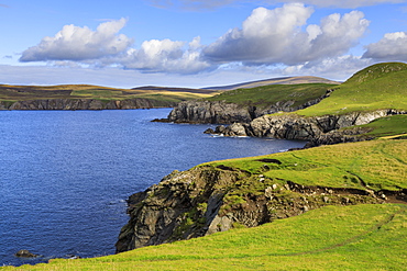 Ronas Hill from Ness of Hillswick, dramatic cliffs, interesting geology, Northmavine, Mainland, Shetland Isles, Scotland, United Kingdom, Europe