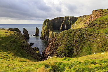 Westerwick, dramatic coastal views, red granite sea cliffs and stacks, West Mainland, Shetland Isles, Scotland, United Kingdom, Europe