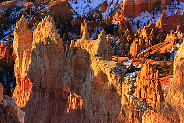 Rocks and hoodoos lit by strong dawn light in winter, Queen's Garden Trail at Sunrise Point, Bryce Canyon National Park, Utah, United States of America, North America