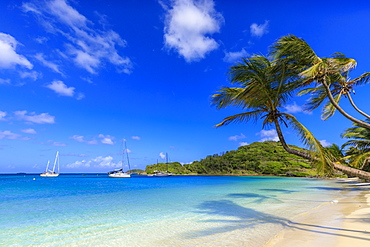 Stunning Saltwhistle Bay, yachts, white sand beach, blue sea, overhanging palm trees, Mayreau, Grenadines, St. Vincent and The Grenadines, Windward Islands, West Indies, Caribbean, Central America