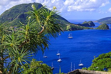 Beautiful Les Saintes Bay from Fort Napoleon, Bourg des Saintes, Terre de Haut, Iles Des Saintes, Guadeloupe, Leeward Islands, West Indies, Caribbean, Central America