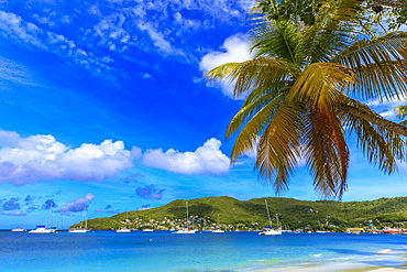 Quiet Caribbean, sea shore palm trees, beautiful Port Elizabeth, Admiralty Bay, Bequia, The Grenadines, St. Vincent and the Grenadines, Windward Islands, West Indies, Caribbean, Central America