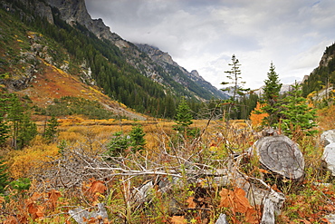 Cascade Canyon in autumn (fall), Grand Teton National Park, Wyoming, United States of America, North America