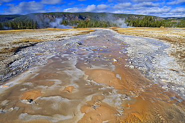 Grand Geyser run-off, Upper Geyser Basin, Yellowstone National Park, UNESCO World Heritage Site, Wyoming, United States of America, North America