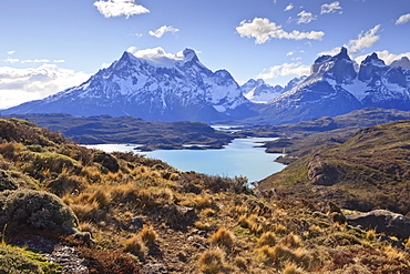 Grasses, Lago Pehoe and the Cordillera del Paine, Torres del Paine National Park, Patagonia, Chile, South America