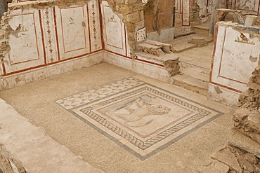 Lion mosaic, murals and frescoes in a Terrace House, Curetes Street, Ephesus, near Kusadasi, Anatolia, Turkey, Asia Minor, Eurasia