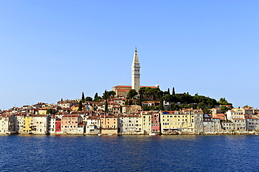 Church of St. Euphemia and Old Town from the sea on a summer's early morning, Rovinj (Rovigno) peninsula, Istria, Croatia, Europe