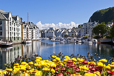 Boats and Art Nouveau buildings with waterside summer flowers, Alesund, More og Romsdal, Norway, Scandinavia, Europe