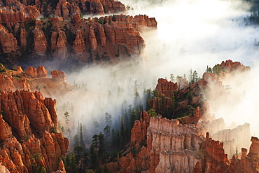 Pinnacles and hoodoos with fog extending into clouds of a partial temperature inversion, Bryce Canyon National Park, Utah, United States of America, North America