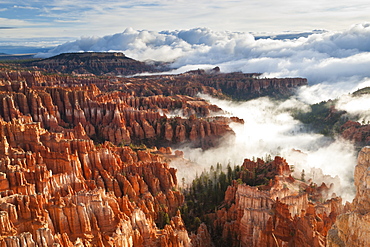 Pinnacles and hoodoos with fog extending into clouds of a partial temperature inversion, Bryce Canyon National Park, Utah, United States of America, North America