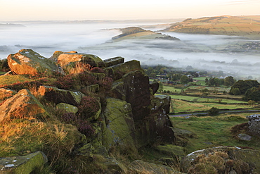 Mist folds over Curbar village, fields and woods from Curbar Edge with heather, autumn dawn, Peak District, Derbyshire, England, United Kingdom, Europe