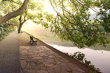 Bench under tree canopy at West Lake shore in Hangzhou, Zhejiang, China, Asia