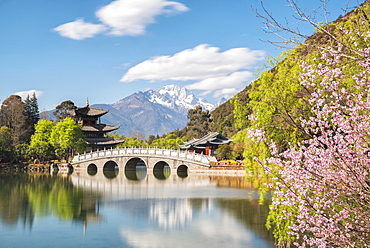 Black Dragon Pool with Moon Embracing Pagoda and Suocui Bridge in Jade Spring Park of Lijiang, Yunnan, China, Asia