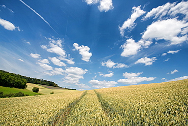 German landscape in summer, Baden-Wurttemberg, Germany, Europe