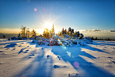 Winter landscape, an HDR image with deep snow and sun, captured on Schliffkopf mountain in Northern Black Forest, Baden-Wurttemberg, Germany, Europe 