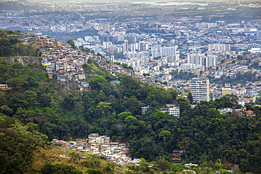 Elevated view of a favela slum on the edge of Tijuca forest, Rio de Janeiro, Brazil, South America