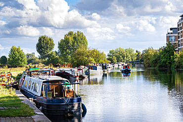 Summer shot of canal boats moored on the River Lea, East London, London, England, United Kingdom, Europe