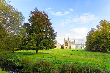 King's College Chapel from the Backs, Cambridge University, Cambridge, Cambridgeshire, England, United Kingdom, Europe