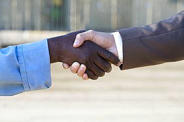 Multi-ethnic businessman and construction worker shaking hands