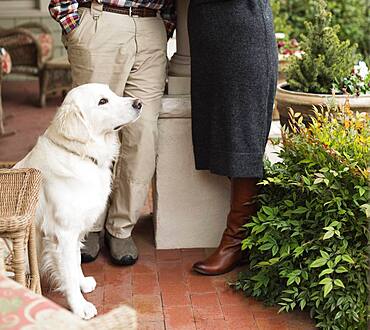 Caucasian couple and dog on patio