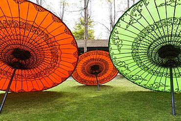 Traditional parasols in backyard