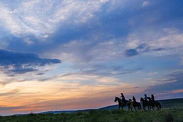 Cowgirls and cowboy riding horses in rural field