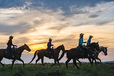 Cowgirls and cowboy riding horses in rural field