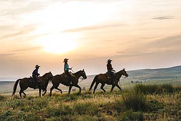 Cowgirls riding horses in rural field