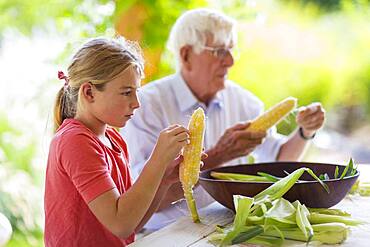 Caucasian grandfather and granddaughter shucking corn