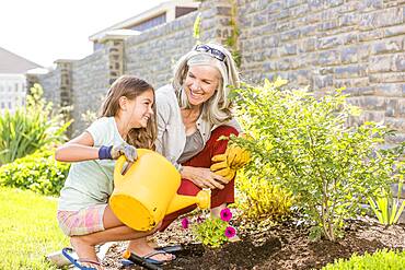 Caucasian grandmother and granddaughter gardening in backyard