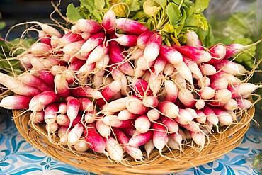 Close up of bunches of radishes