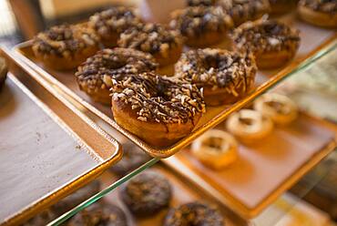 Close up of donuts for sale in bakery