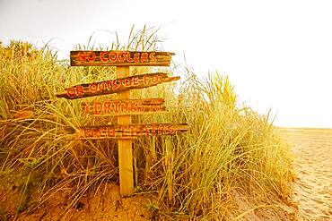 Tourist signs for beach in grass