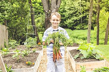 Caucasian boy holding carrots in garden