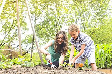 Mother and son planting in garden