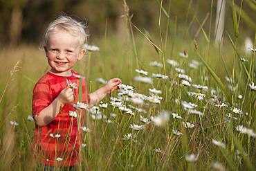 Caucasian boy admiring flowers in tall grass