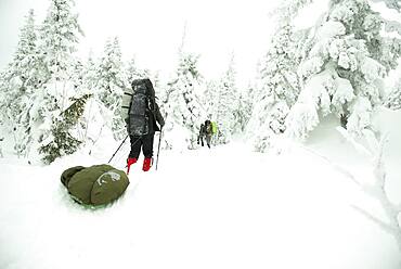 Caucasian hikers walking in snowy forest