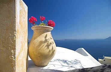 Flower pot on balcony overlooking seascape