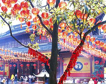 Lanterns on tree outside Chinese temple, Shanghai, Shanghai, China