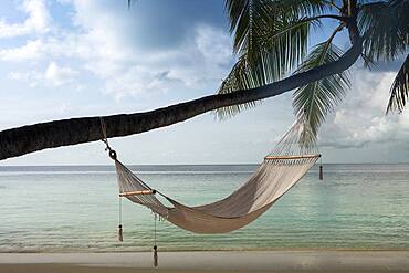 Hammock hanging on palm tree at beach