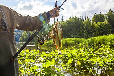 Mari fisherman holding caught fish at rural river