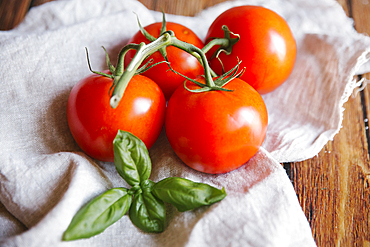 Tomatoes on vine with basil leaf