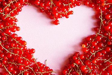 Red berries in heart-shape