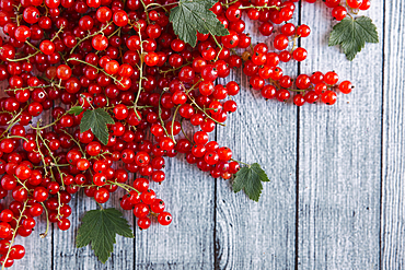 Red berries and leaves on table