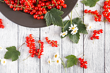 Red berries and leaves on table with flowers